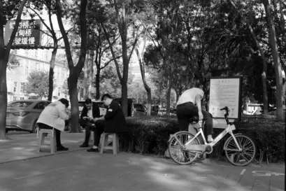 Casino Fiz Mobile App